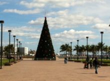 Christmas ob Miami Beach
