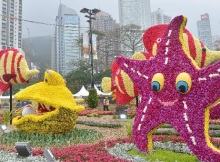 Hong Kong Flower Show 2015