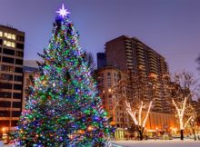 Christmas Decors in Boston