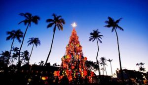 Enjoying Christmas Celebrations in Hawaii 2024