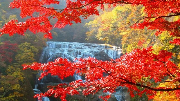 Fukoroda Waterfalls in Japan