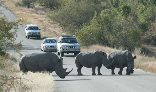 Kruger National Park in South Africa