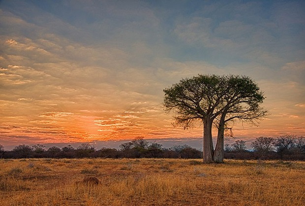 Natural Landscapes in South Africa