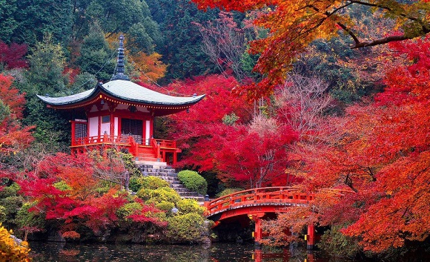 Destinations of honeymoon in Kyoto