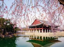 Honeymoon destinations in Seoul