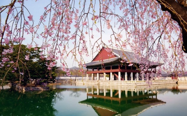 Honeymoon destinations in Seoul