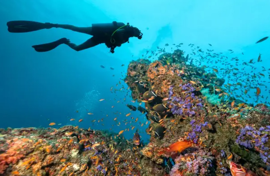 Diving sites in Maldives